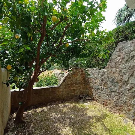 דירה 3cpf29 Avec Jardinet Et Parking, Proche Centre-ville